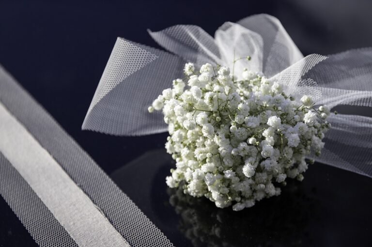 flowers, white, beautiful flowers-4775420.jpg