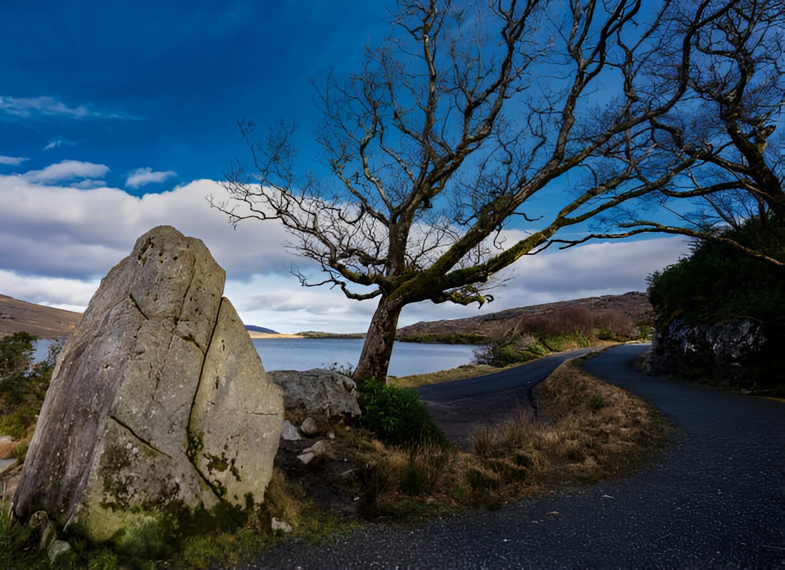 a tree is standing beside a lake