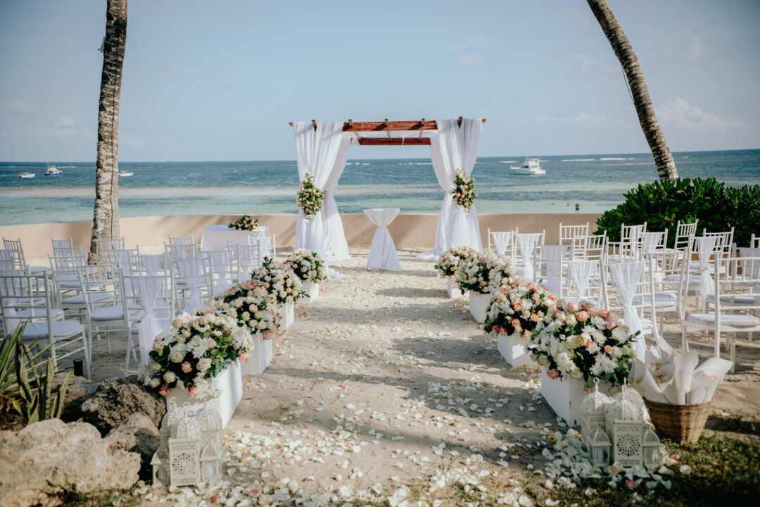 Luxury Limo Services for Chicago Weddings