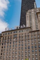the dark hotel