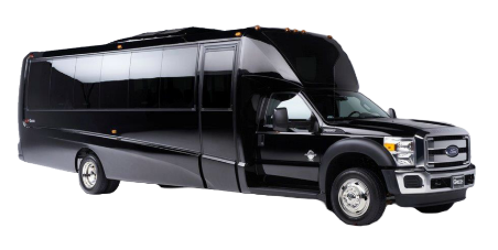 Mini Coach