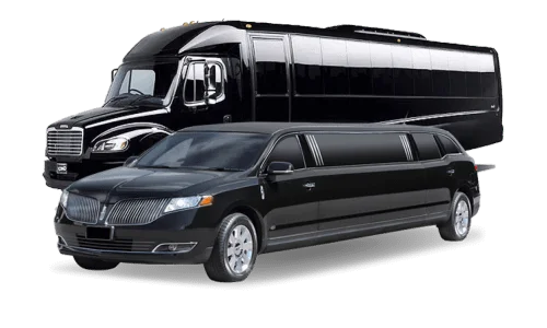 Stretch Limo & Buses